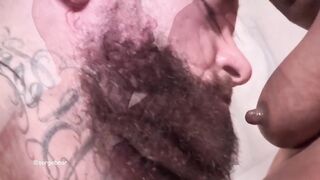 Serge Bear destroyed by thick nipples licking