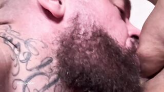 Serge Bear destroyed by thick nipples licking