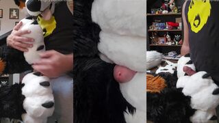 Furry Step-Bro Paw Teases Edges Me To Gushing Cum Destruction