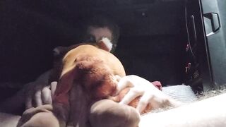 Humping Fox Plushie Till Cum Gushes Destroyed Mess