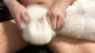 Furry white cum splattered all over
