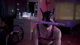 Pappy's tight asshole ruined by owner's bareback cock and double dildo