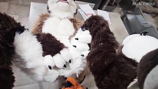 Twink boy gets split by landlord for unpaid rent