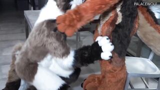 Twink boy gets split by landlord for unpaid rent