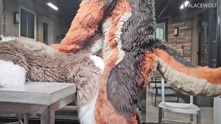 Twink boy gets split by landlord for unpaid rent