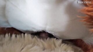 Twink boy gets split by landlord for unpaid rent