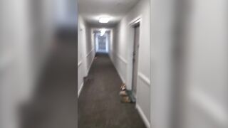 Puppy Boy Can’t Hold It Bursts Pants Outside Bathroom Peeing Ruin