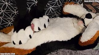 Paw slut gets brutal back to back pawjobs with massive cum drip finish