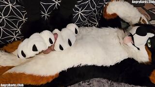 Paw slut gets brutal back to back pawjobs with massive cum drip finish