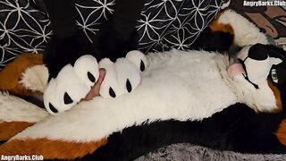 Paw slut gets brutal back to back pawjobs with massive cum drip finish
