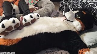 Paw slut gets brutal back to back pawjobs with massive cum drip finish