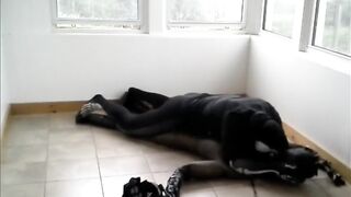 Gay skeleton gets destroyed by frogman in spandex wrestling cumshot