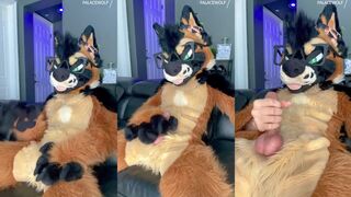 Furry fursuit jerk off ruined by hot cumshot