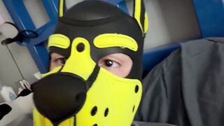 Twink pup gets wrecked by buzzy wand until he drips in his soaked diaper