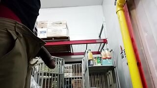 Cumshot at work while masturbating got chilled