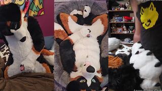 Biggest Fursuit Furry Cumshot Compilation Destroyed Gushing Choked Throbbing Good Boy