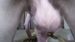 POV Femboy 69 Bottom Precum Drip Teabag Cock Gush Destroyed Sack Closeup