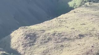 Big Ass Femboy Forest Cruise Cum Gushing Hole Wrecked