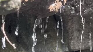 Big Ass Femboy Forest Cruise Cum Gushing Hole Wrecked