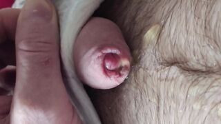 Hairy Daddy Pisses Pullup Gush Drenches Chest Uncut Moans