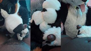 Furry Puppy Voz Drowns SJ in Gushing BBC Cum Mess ???? Pawjob Destroyed