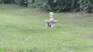 Public Park Big Dick Teen Gushes Cum All Over Cute Statue Bunny Watches