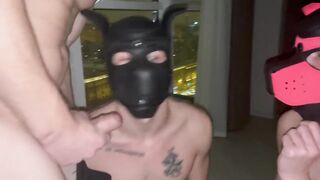Pappy boys destroy owner's cock in brutal gay threesome double anal