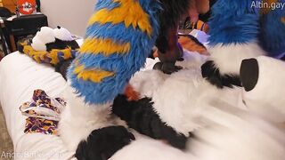 Big dog knots sweet furry kitty raw praise size gap fucks