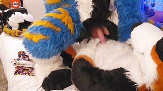 Big dog knots sweet furry kitty raw praise size gap fucks