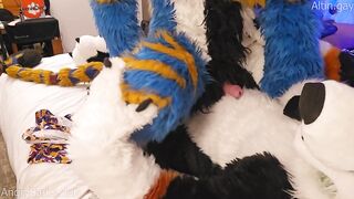 Big dog knots sweet furry kitty raw praise size gap fucks