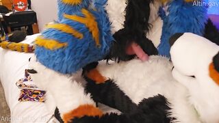Big dog knots sweet furry kitty raw praise size gap fucks