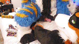 Big dog knots sweet furry kitty raw praise size gap fucks
