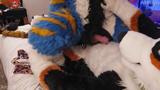 Big dog knots sweet furry kitty raw praise size gap fucks