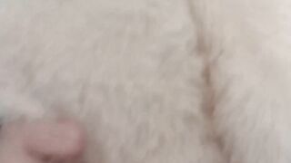 Cute Femboy Humps Plushie Desperately Until Big Load Paints It White