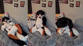 Milked by the Vet's Puppy Boy How to Milk Your Furry Boyfriend