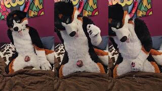 Pup play edging deny orgasms gushing cum fountain until leaking