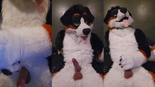 Elastrator Play with @AngryBarks Good Boys Get Neutered Ruined Orgasm