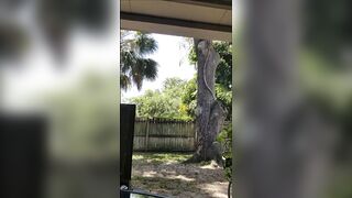 Eclipse jerking outside raw blonde glasses big cock cumshot almost caught