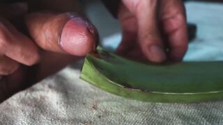 Jerking off until thick cum gushes on homemade aloe vera flesh