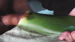 Jerking off until thick cum gushes on homemade aloe vera flesh