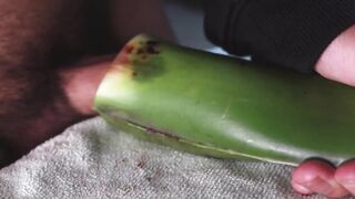 Jerking off until thick cum gushes on homemade aloe vera flesh
