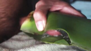 Jerking off until thick cum gushes on homemade aloe vera flesh