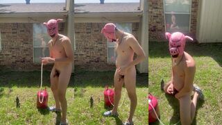 Helium Pumped Gay Pig Belly Bursting Solo