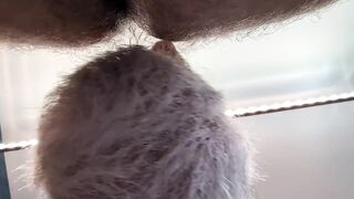 SeattleDad and BearfootHunter get bred raw tighty whities slurping big hairy cocks