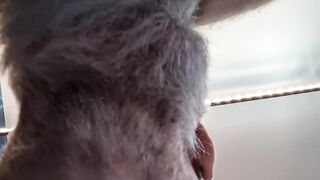 SeattleDad and BearfootHunter get bred raw tighty whities slurping big hairy cocks