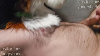 Good boys get hard from praise those vocal murrsuiter cumshots wrecked him deep