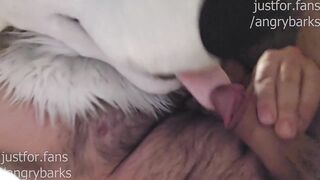 Good boys get hard from praise those vocal murrsuiter cumshots wrecked him deep