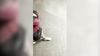 Intens caught exposing sissy sissy public training cumshot
